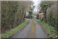 Road past Little Bubhurst