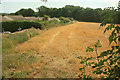 Field behind Broadley Drive, Livermead