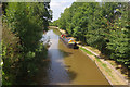 Shropshire Union Canal, Barbridge