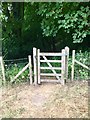 Gated footpath and sycamore tree