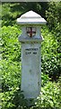 Coal tax boundary post no.99, Molesey Road / Walton Road