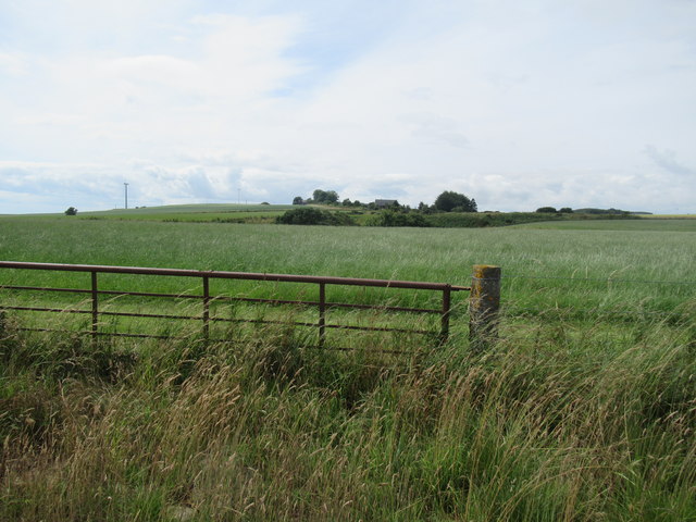 View towards West Belt at Berryhillock near Laurencekirk