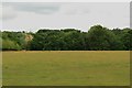 Grass field at Low Weldon