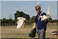 Falconry display, Herring