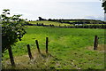 An open field, Ballylennan Scott