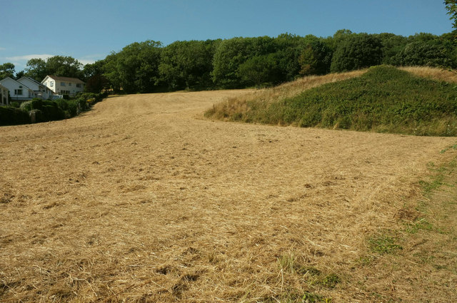 Field by Bishop's Walk