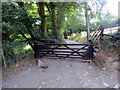 Tuag at Ryd Coed Foel / Towards Rhyd Coed Foel