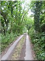 Track to Green Well from Lincombe