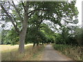 Track off Park Lane, Heighington