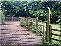 Path and sheep pen