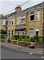 Black cat on a Pontnewydd corner, Cwmbran