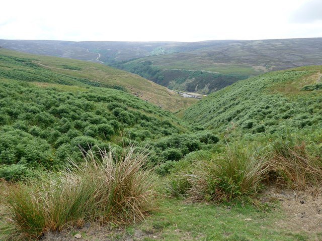 Unnamed clough on Pikenaze Moor