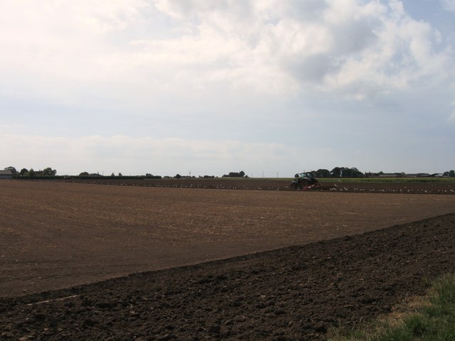 Preparing a field