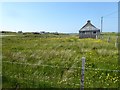 Houses among buttercups at North Shawbost