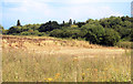 Old Sand Pit, Fairlop Quarry Reserve