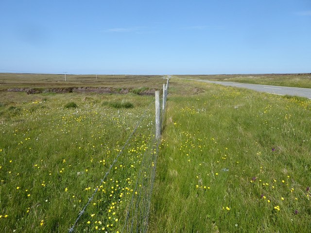 Rough grazing fields and peat cutting next to the A857
