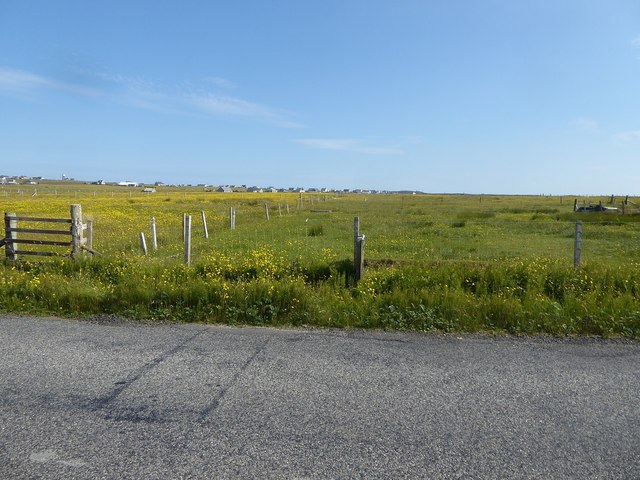 Looking from the A857 across fields towards scattered houses in Habost