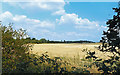 Farmland near Hainault