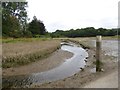 Marsh and creek at North Efford