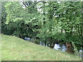 River Ceiriog at Pont-y-Blew