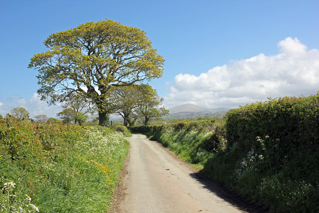Lane near Cae Glas
