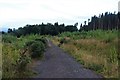 Walk in Dykedale Wood