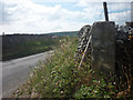 Milepost with benchmark, junction of Woodhouse and Back Lanes