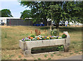 Drinking Trough in Brockwell Park