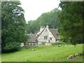 The east front of Woodchester Mansion