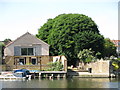 The River Thames west of Rivermead Island