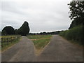 Track junction east of The Kennels