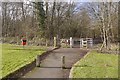 Path, Stanmore Country Park