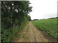 Bridleway towards Lidgett