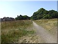 Bridleway and cycle path off Whitehouse Lane