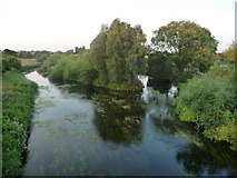 SK0916 : The River Trent, downstream [east] from High Bridge by Christine Johnstone