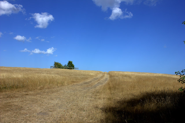 Field path from Lodge Lane