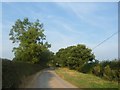 Hobb Lane, heading east from New Thorntree Farm