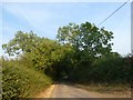 Hobb Lane, heading south-east to Gorsty Hill