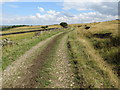 Track used by a footpath to the east of Mount Pleasant