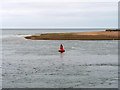 SX9980 : River Exe Buoy 12 and Dawlish Warren Sand Spit by David Dixon