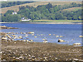 Shore at Port Bannatyne