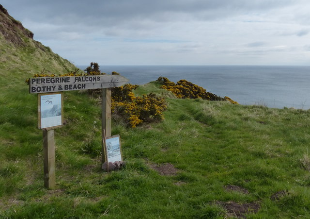 Path to the Smuggler's Bothy at... © Mat Fascione cc-by-sa/2.0 ...