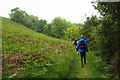 Path above Wheatham Combe