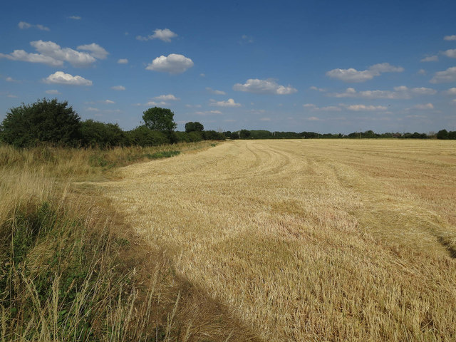 Stubble field © Hugh Venables :: Geograph Britain and Ireland