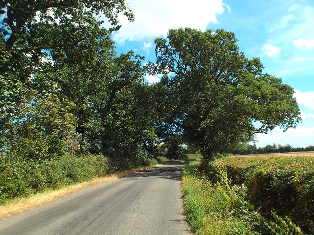 Rural road in Northamptonshire