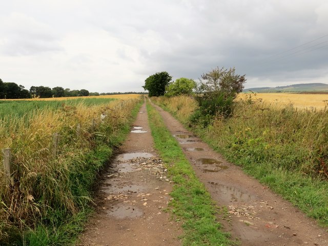 Track at Auchenreoch Farm