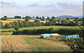 Fields and Hedges near Upcott