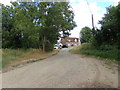 TL8328 : Nightingale Hall Road, Greenstead Green by Geographer