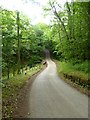 Whalegill Bridge