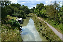 ST9561 : Kennet and Avon Canal, west of the A365 Bath Road bridge by David Martin